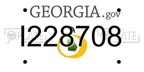 I228708 Georgia License Plate