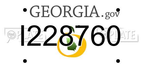 I228760 Georgia License Plate