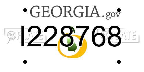 I228768 Georgia License Plate