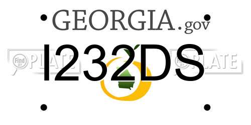 I232DS Georgia License Plate