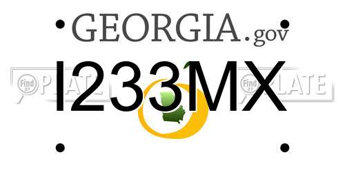 I233MX Georgia License Plate