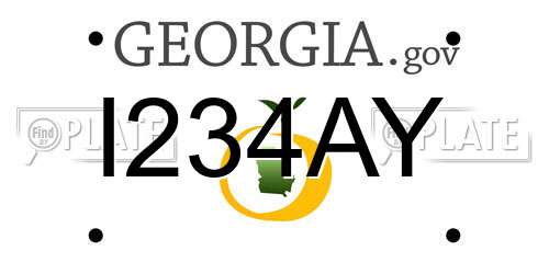 I234AY Georgia License Plate