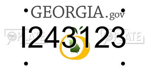 I243123 Georgia License Plate