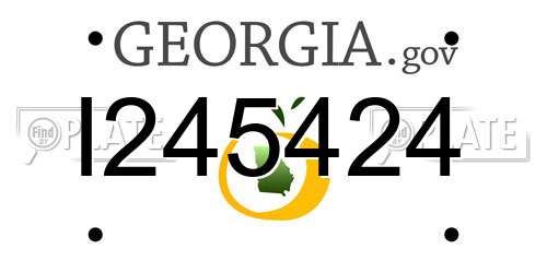 I245424 Georgia License Plate