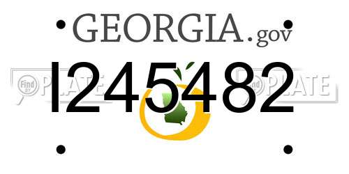 I245482 Georgia License Plate