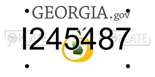 I245487 Georgia License Plate