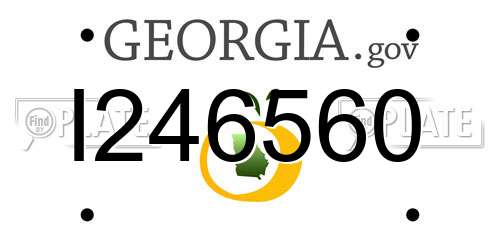 I246560 Georgia License Plate
