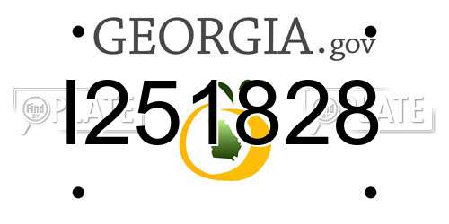 I251828 Georgia License Plate