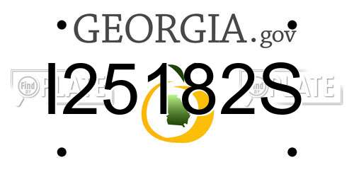 I25182S Georgia License Plate