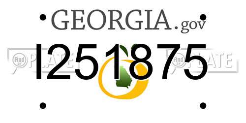 I251875 Georgia License Plate
