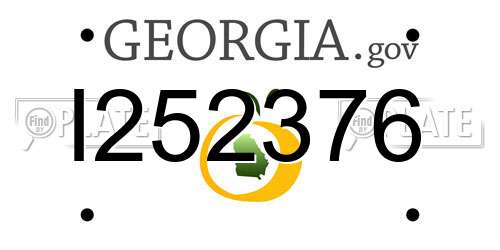 I252376 Georgia License Plate