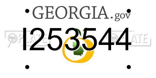 I253544 Georgia License Plate
