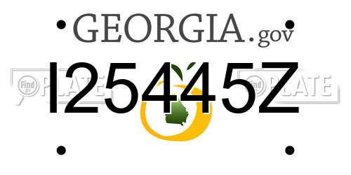 I25445Z Georgia License Plate