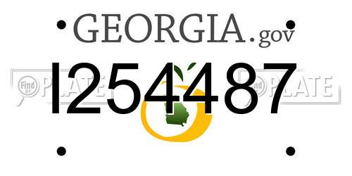 I254487 Georgia License Plate