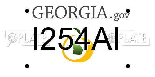 I254AI Georgia License Plate
