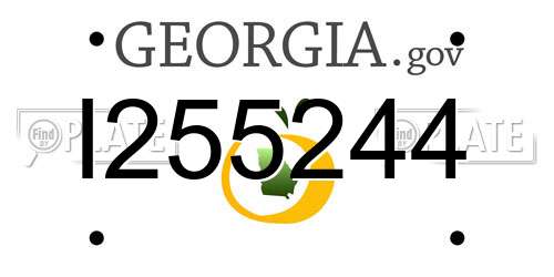 I255244 Georgia License Plate