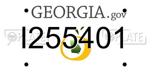 I255401 Georgia License Plate