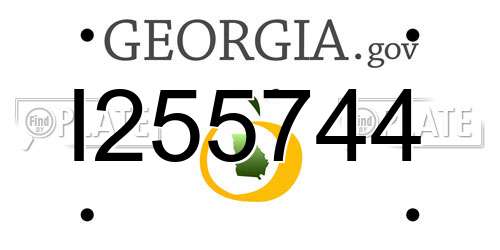 I255744 Georgia License Plate