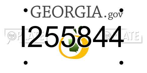 I255844 Georgia License Plate