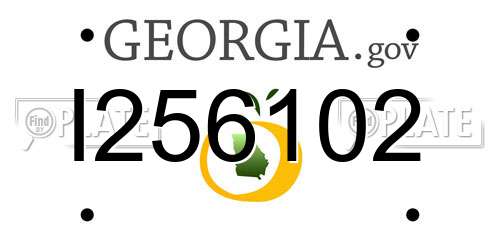I256102 Georgia License Plate