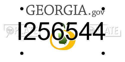 I256544 Georgia License Plate