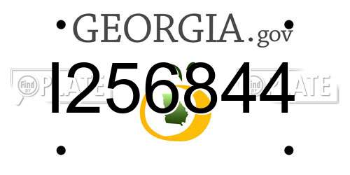 I256844 Georgia License Plate