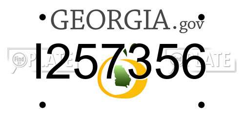 I257356 Georgia License Plate