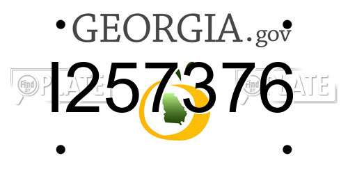 I257376 Georgia License Plate