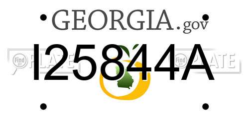 I25844A Georgia License Plate