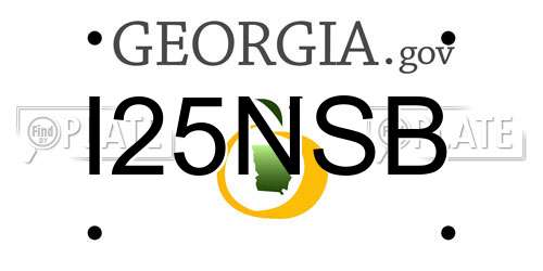 I25NSB Georgia License Plate