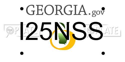 I25NSS Georgia License Plate