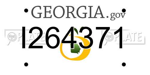 I264371 Georgia License Plate