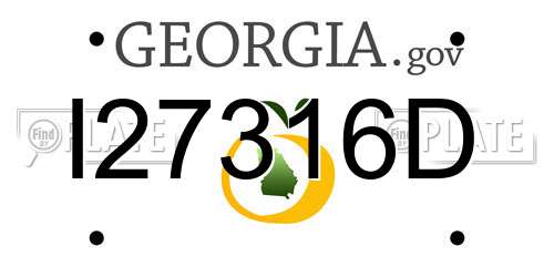 I27316D Georgia License Plate