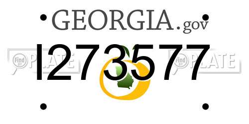 I273577 Georgia License Plate
