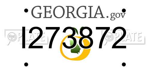 I273872 Georgia License Plate