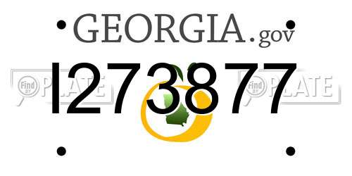 I273877 Georgia License Plate
