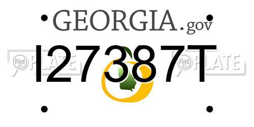 I27387T Georgia License Plate