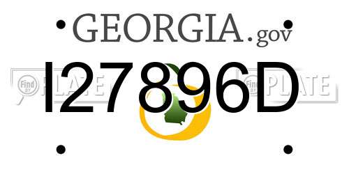 I27896D Georgia License Plate