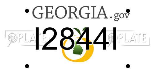 I2844I Georgia License Plate