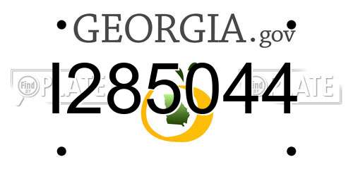 I285044 Georgia License Plate