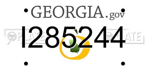 I285244 Georgia License Plate
