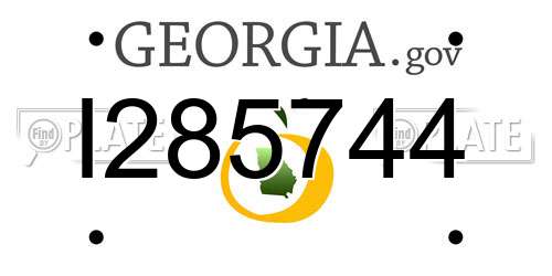I285744 Georgia License Plate