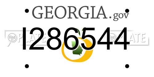 I286544 Georgia License Plate