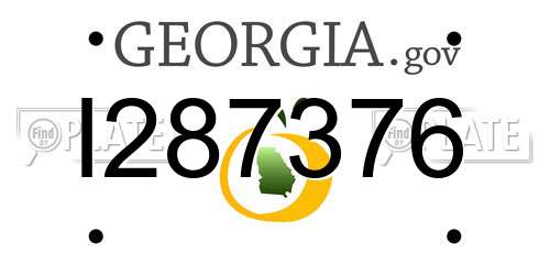 I287376 Georgia License Plate