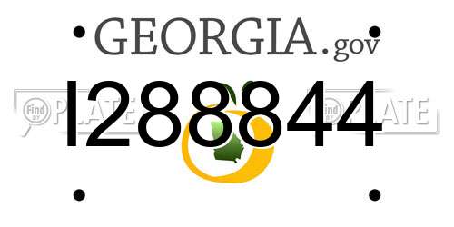 I288844 Georgia License Plate
