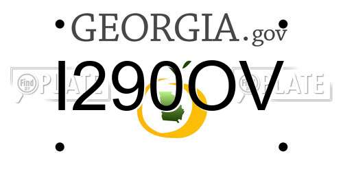 I290OV Georgia License Plate