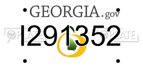 I291352 Georgia License Plate