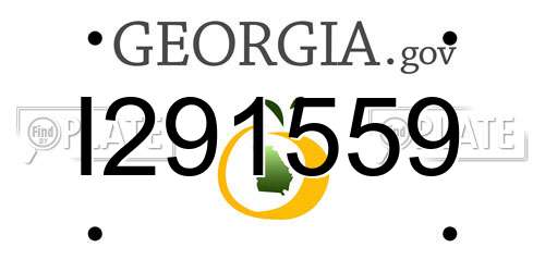 I291559 Georgia License Plate
