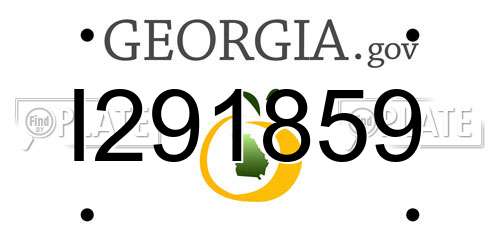 I291859 Georgia License Plate