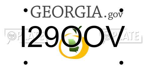 I29OOV Georgia License Plate